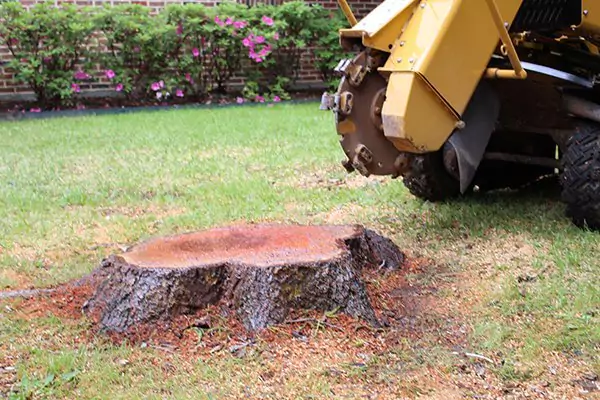 Stump
Grinding